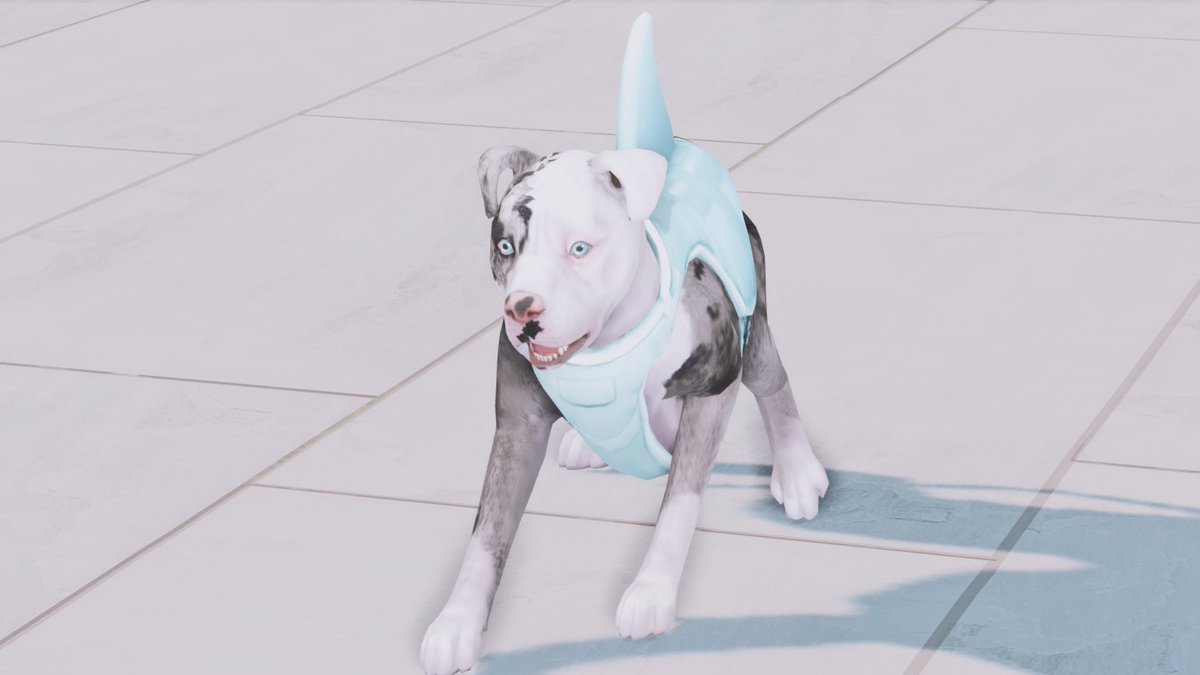 pynkpunks's tweet photo. he's scared of the water 🥺 https://t.co/qmiAe8DcKj