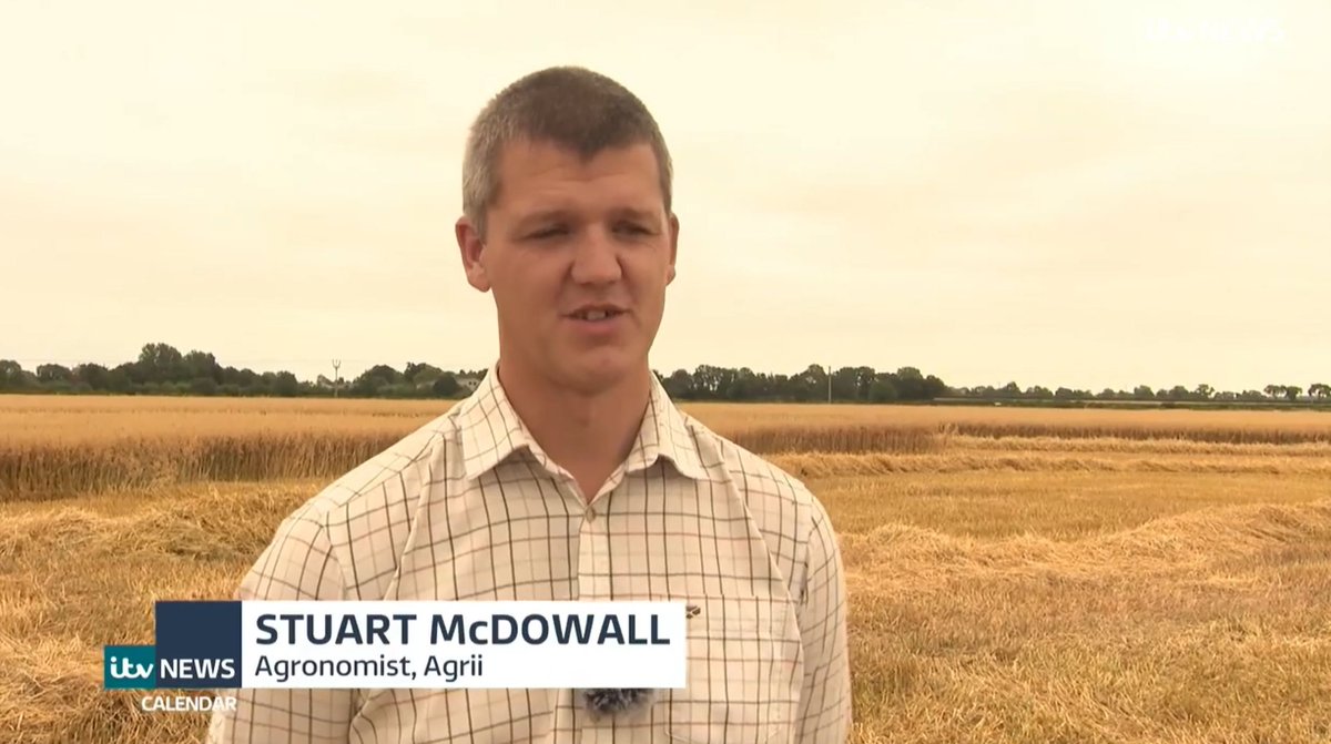 AgriiUK's tweet photo. Potential World Record Oat Yield

Well done to Mark Popplewell @Beeteater1 &amp; the team at Happy Days Farming in #Lincolnshire, who have achieved a remarkable oat yield - double the national average!

Watch on @itvcalendar https://t.co/lQkOKuoNpI

#Agrii #CopeSeeds #WorldRecord https://t.co/3rgvbgIfzd