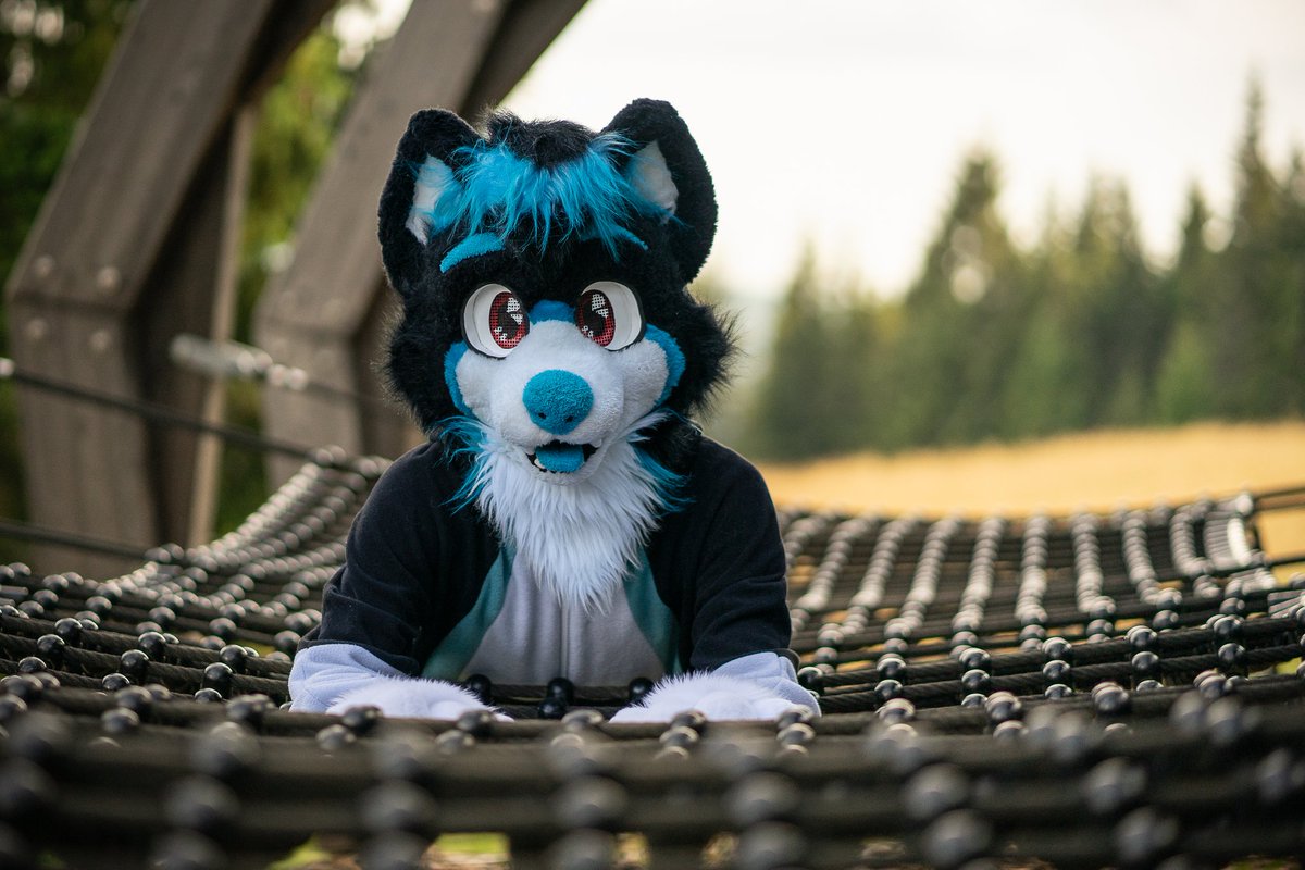 AtroxTheFox (@atroxthefox) on Twitter photo This cutie wishes you a happy #FursuitFriday ^^
๐ฆ <a href="/RapidtheHusky/">Rapid โก๏ธ EF29</a>
๐ท Sony Alpha A7 II This cutie wishes you a happy #FursuitFriday ^^
๐ฆ <a href="/RapidtheHusky/">Rapid โก๏ธ EF29</a>
๐ท Sony Alpha A7 II