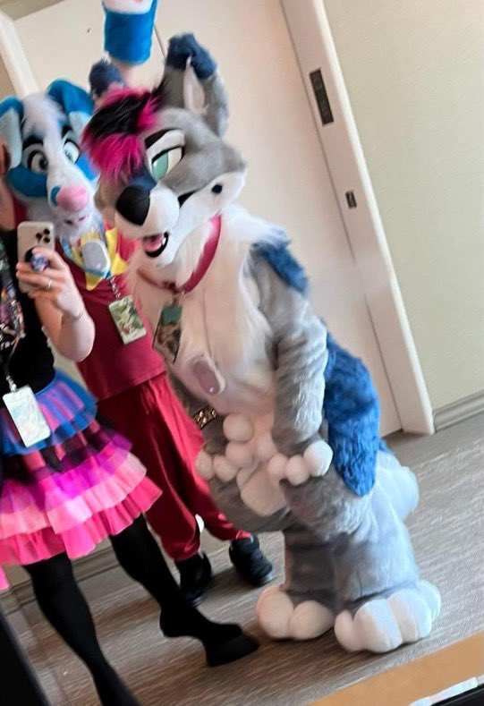 Unfortunately due to bills an lack of space I’m tentatively looking for offers on my wolf/gshep fullsuit made by the Amazing➡️Thatsfurredup. NOT selling the character, Design will be altered. Fits someone around 5.4” 150 (approx max) DM for offers + info #fursuitforsale