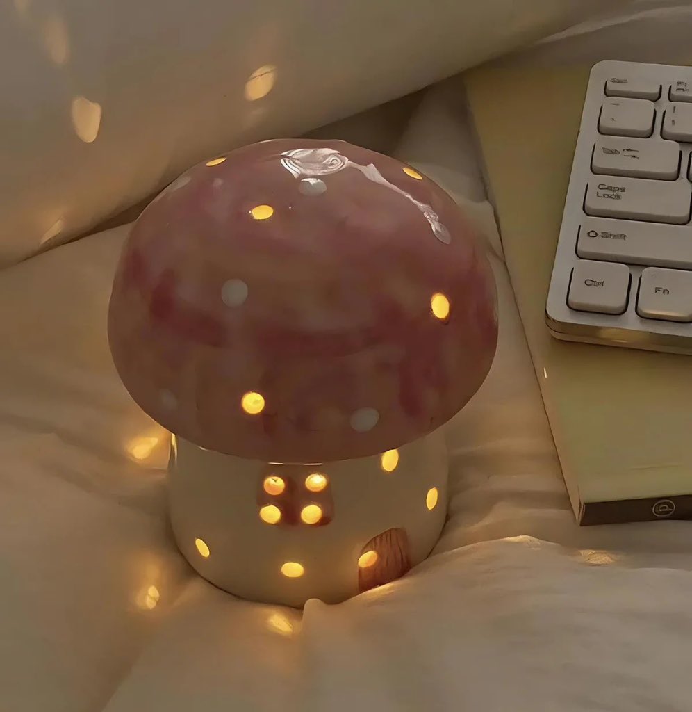 tiny fairy mushroom lamp 🍄