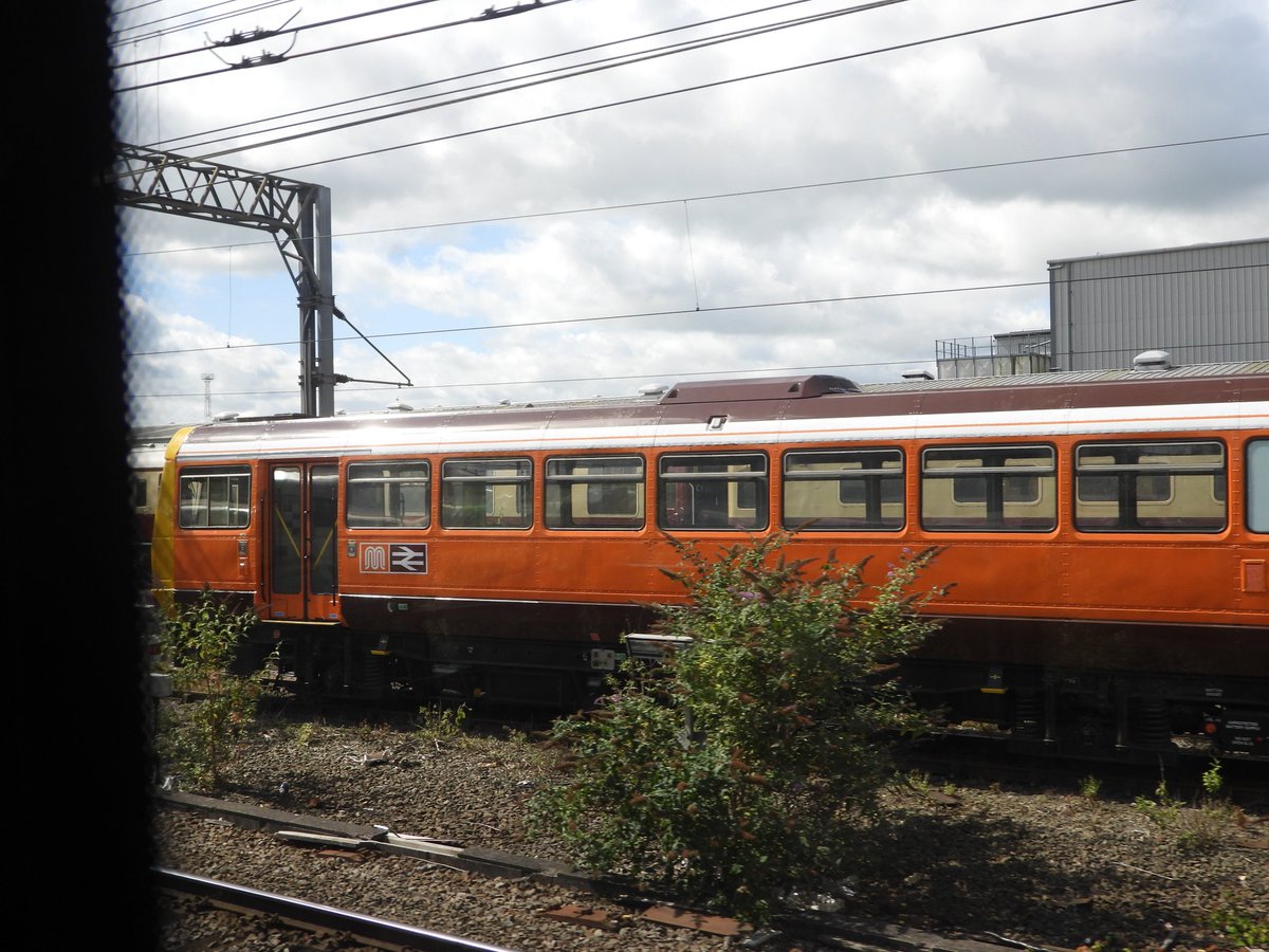 DanSpotter86's tweet image. THE PACER NOT FOR BLACKPOOL!!! 

Here's a shot of @LocoServicesGrp Class 142003 seen here at Crewe Carriage sidings on August 9th 2024.
#Class142 #Class142pacer #Class142003 #Crewe #wcml #lsl