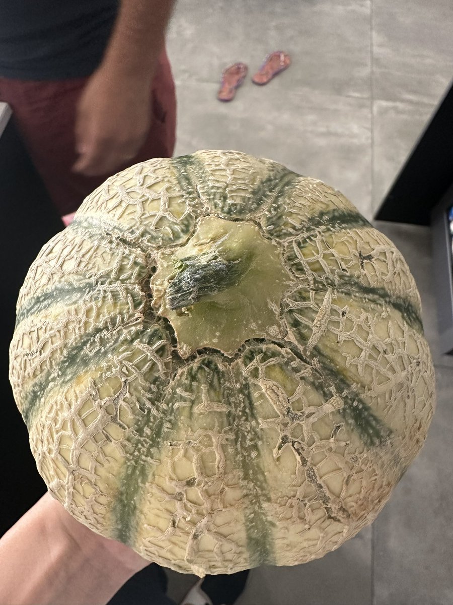 Doc’Seb 🍒 tweet media