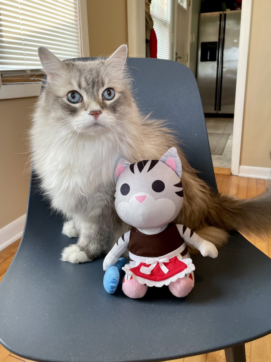 Jack Packard tweet media