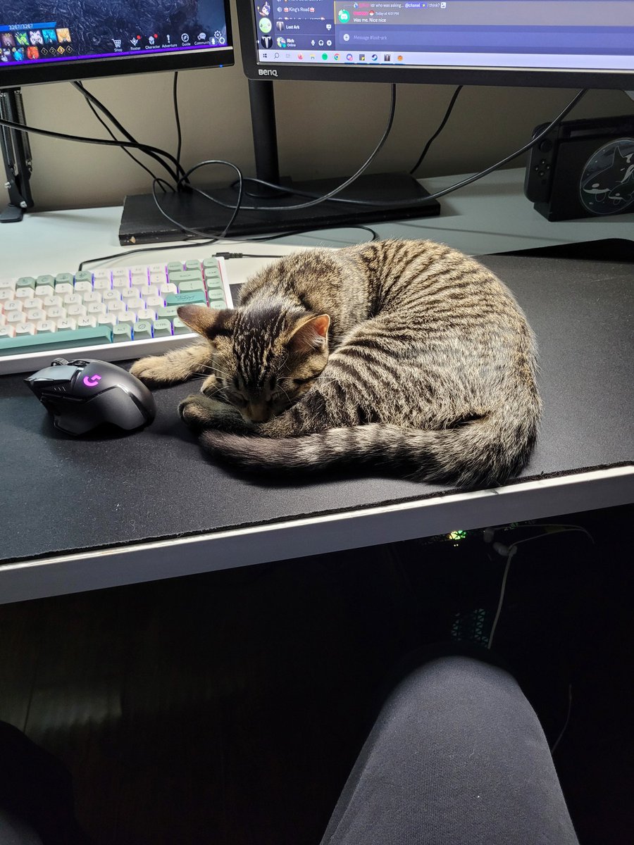 Turns out "AWWKITTY" isn't a valid input to get out of the Thaemine g3 typing test. <a href="/playlostark/">Lost Ark</a>