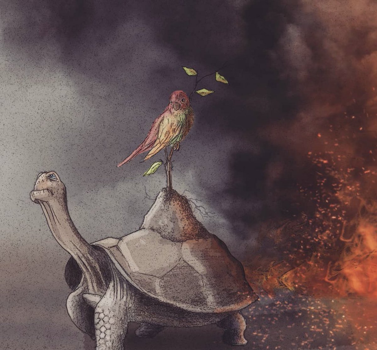 SiNEM GÜÇLÜ tweet media