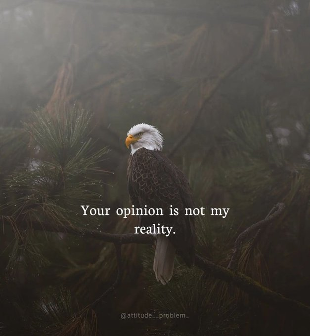 mindfulmaven_'s tweet image. 