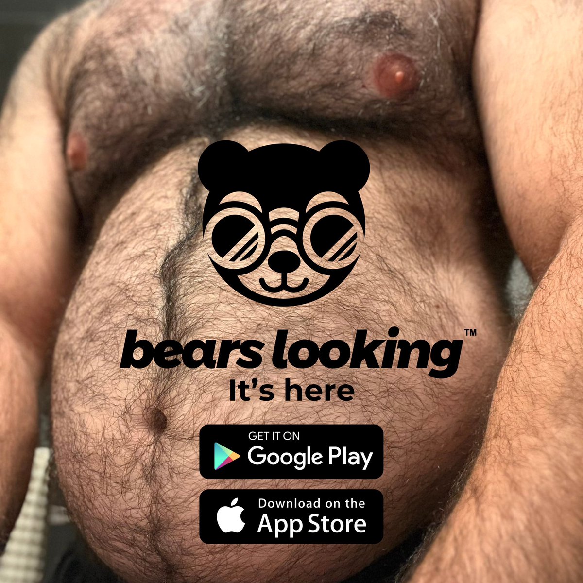 Bears Looking tweet media