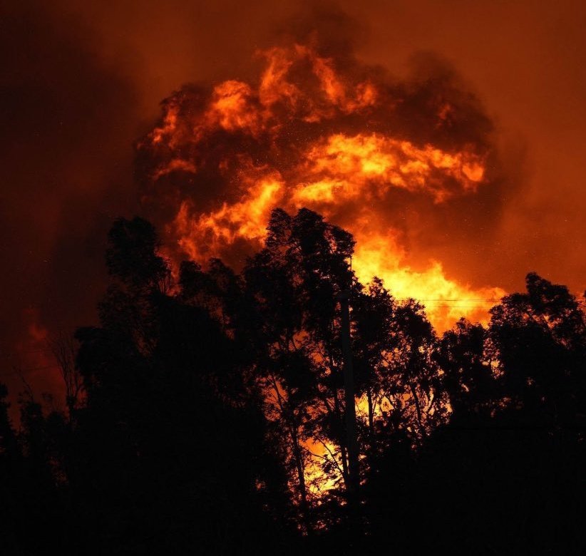 karavarasr's tweet image. Fire broke out all over Turkey. we need help. please help 
#globalcallforTurkey