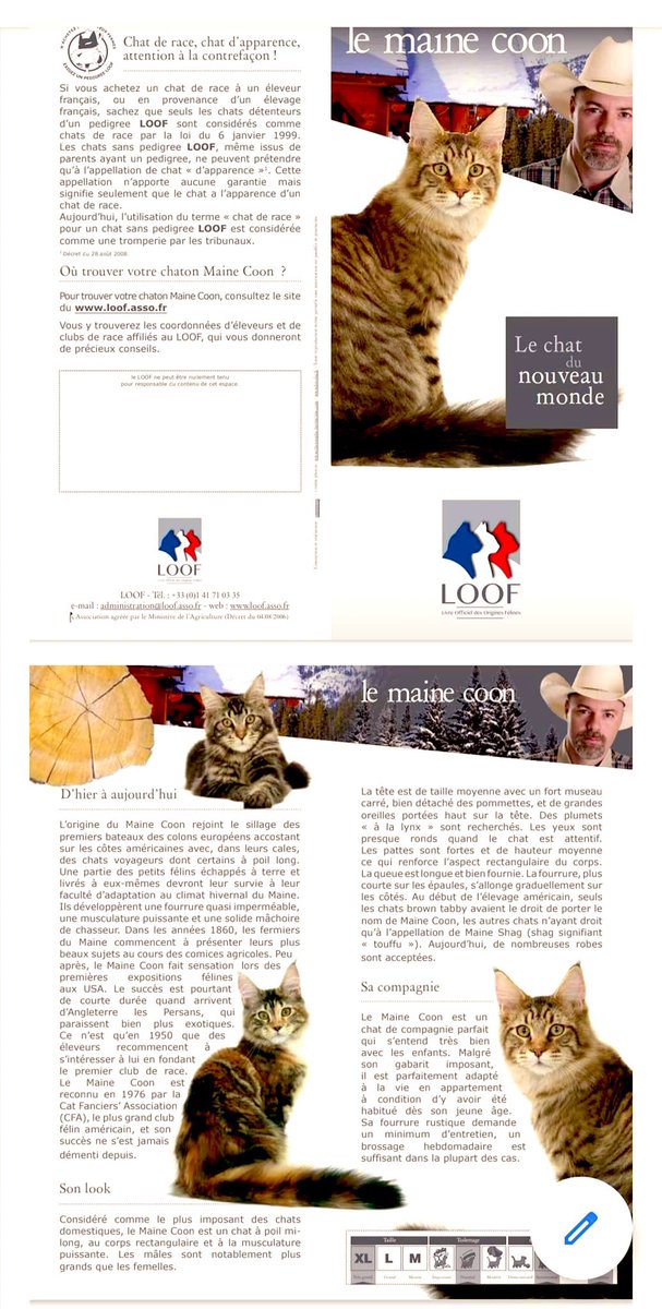 Cécile Simon tweet media