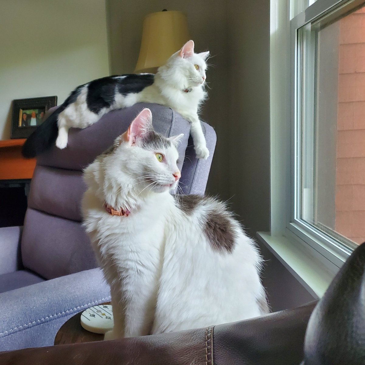 These two were just born to be models.