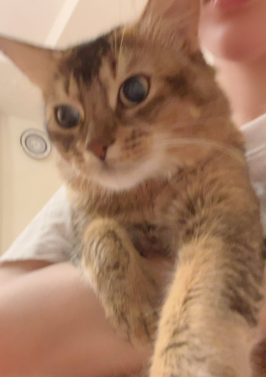 barybaby9's tweet image. こんにゃ時間までコツコツお仕事、、💻
明日は、や–っとおやすみﾆｬﾝ😘あ、もう日付とっくに変わってるけど、、wﾜｯｼｮｲ‼︎
#love weekend
#Catholic 
#workaholic⚡️