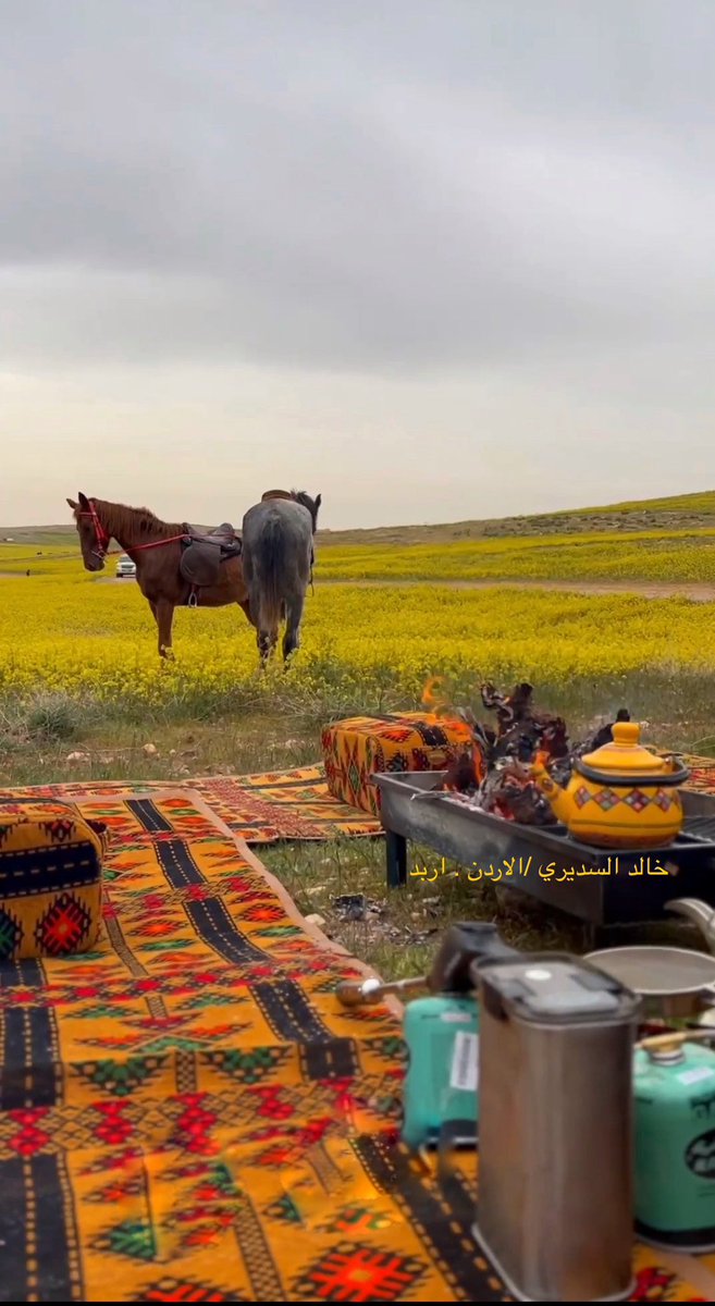 المشاعر 

هي الوحيدة التي لا يمكن 
أن تعود بعد رحيلها
تعود اﻷجساد للقاء
وتعود اﻷيدي للمصافحة
لكن شعورا غادر الروح 
لا يمكن له أن يعود أبدا

💐🕊️

يأتي البعض لحياتك 
كنعمه
ويأتي البعض لحياتك 
كدرس
فحافظ على النعمه 
وتعلم الدرس 

#رساله_اليوم
#رساله_لقلبك
#رساله_لنفسك