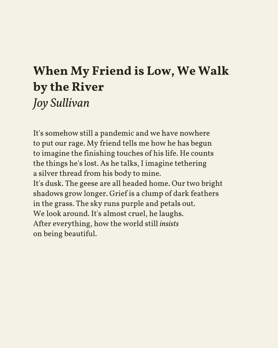 “It's almost cruel, he laughs. / After everything, how the world still insists / on being beautiful.”

— Joy Sullivan
.
.
.

This poem appeared in Instructions for Traveling West: Poems by Joy Sullivan, published by the Dial Press, 2024. Shared here with deep gratitude.