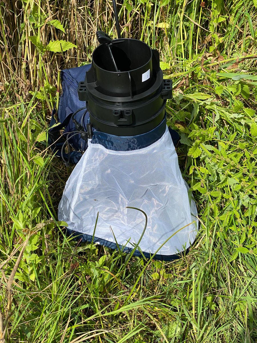 Sunny Hill Lass (AKA Anna) (@lasshill) on Twitter photo It was day 1 today of our <a href="/kupe1515/">Mick Wright</a> Mosquito surveillance for <a href="/VB_RADAR/">Vector-Borne RADAR</a> in conjunction with <a href="/UKHSA/">UK Health Security Agency</a> and <a href="/_BTO/">BTO</a>
We are collecting mosquitoes in our trap for research into mosquito borne diseases and how it affects our Blackbird population, wildlife & humans. It was day 1 today of our <a href="/kupe1515/">Mick Wright</a> Mosquito surveillance for <a href="/VB_RADAR/">Vector-Borne RADAR</a> in conjunction with <a href="/UKHSA/">UK Health Security Agency</a> and <a href="/_BTO/">BTO</a>
We are collecting mosquitoes in our trap for research into mosquito borne diseases and how it affects our Blackbird population, wildlife & humans.