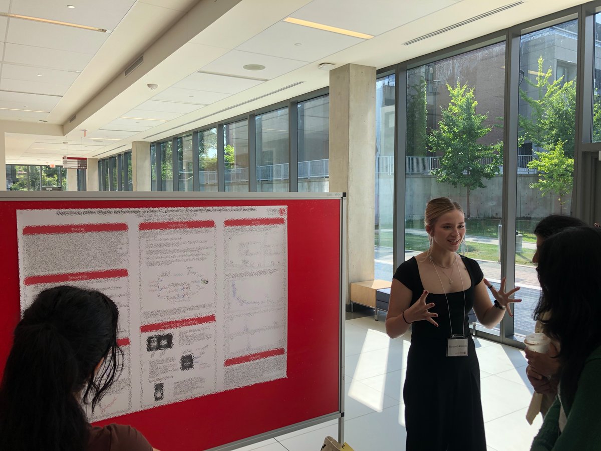 Hili Group tweet media