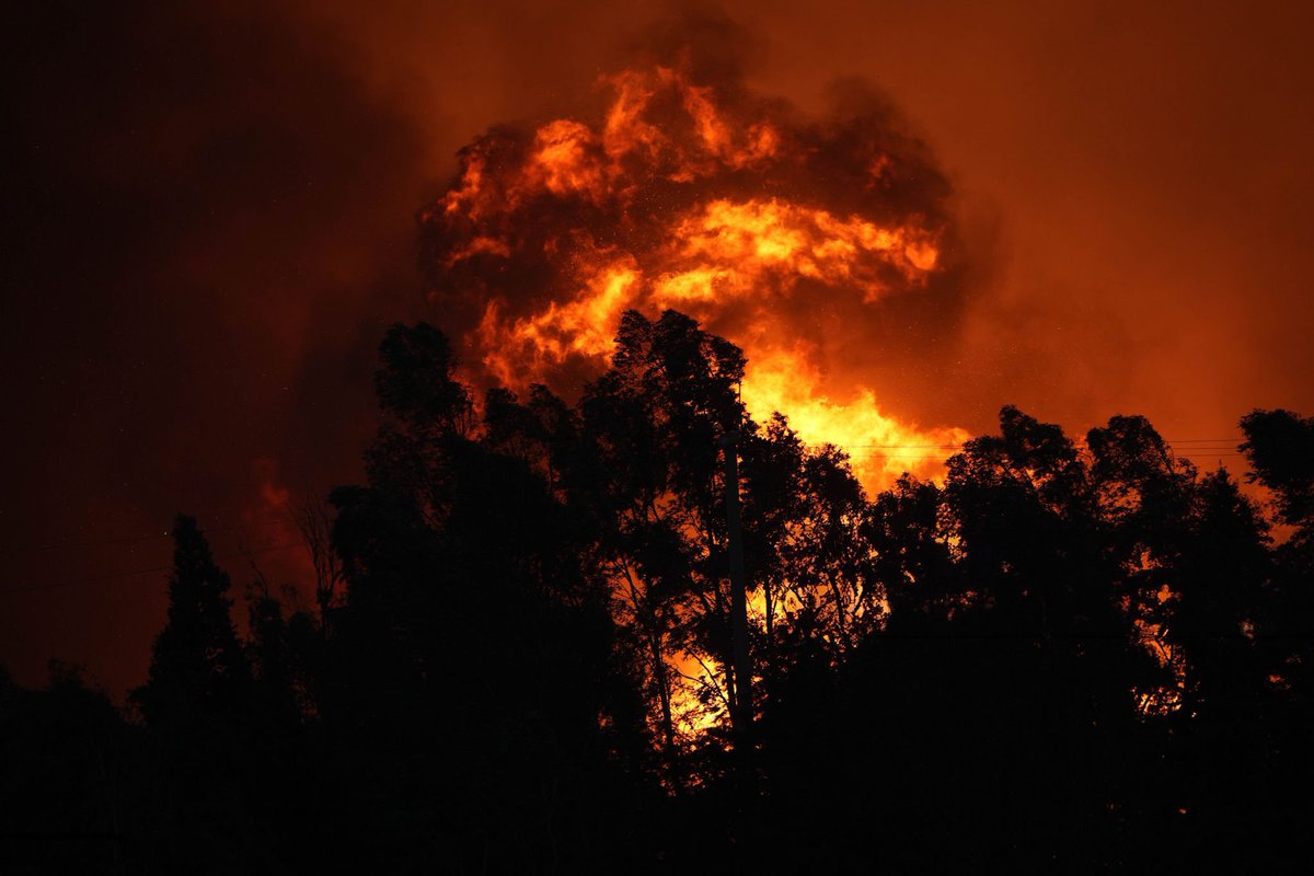 BPT (@bpthaber) on Twitter photo 📍 16 Ağustos 2024, İzmir. 📍 16 Ağustos 2024, İzmir.