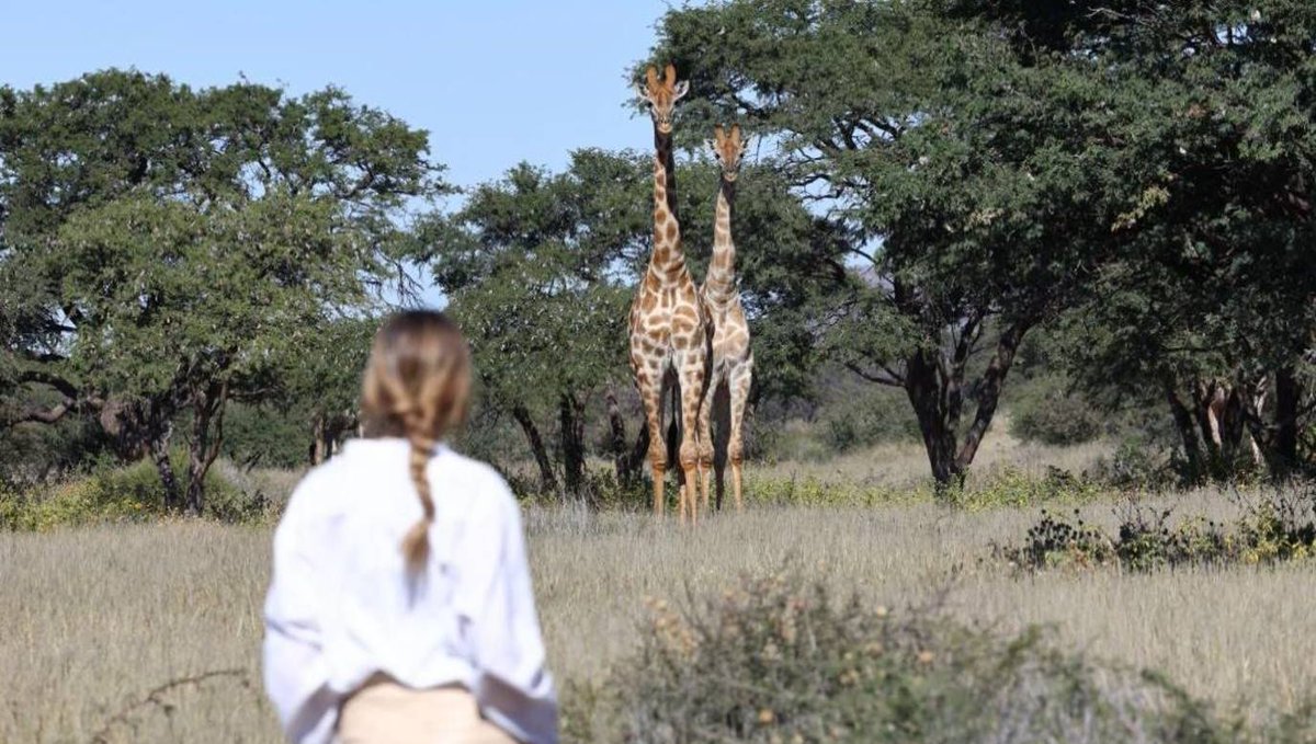 Ever wondered what it’s like to explore Tswalu Kalahari Reserve? Find all the safari inspiration you need right here: l8r.it/bg1w #Tswalu #PrivateLuxurySafari