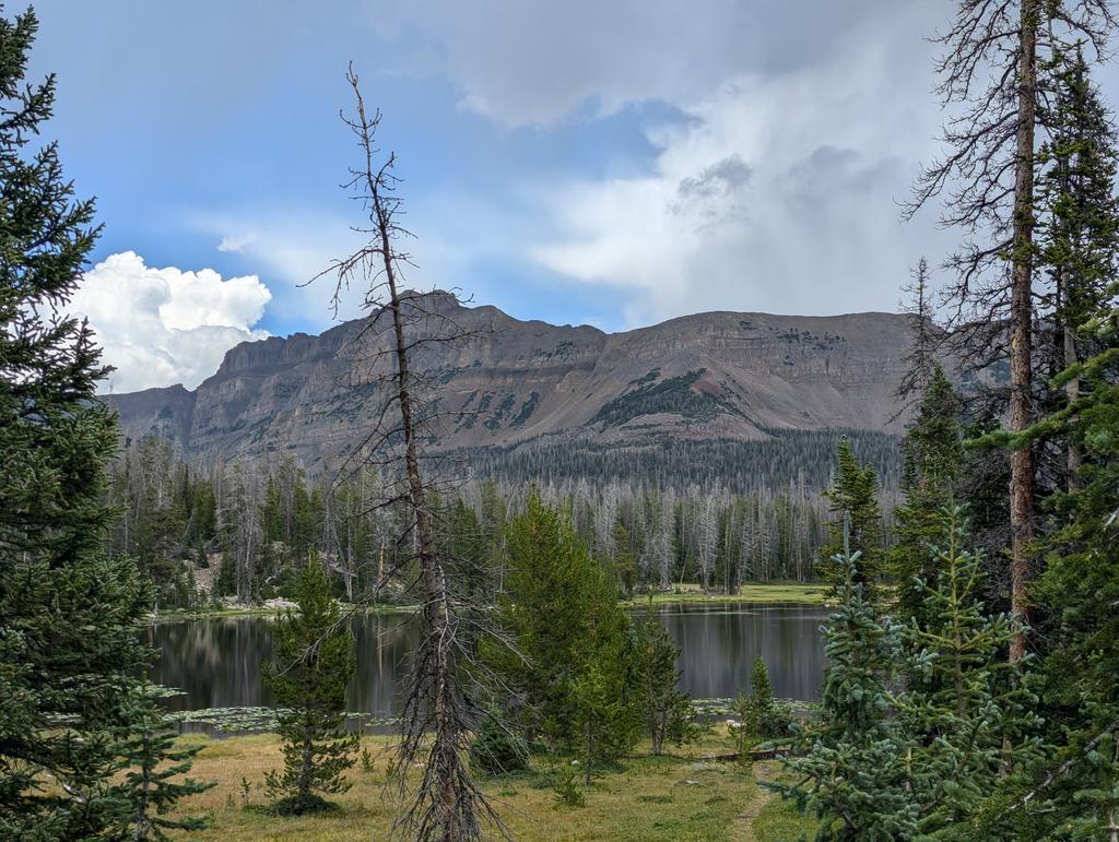 Carly K. Messerly tweet media