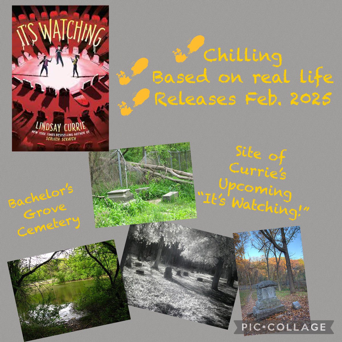 Melanie Dulaney tweet media