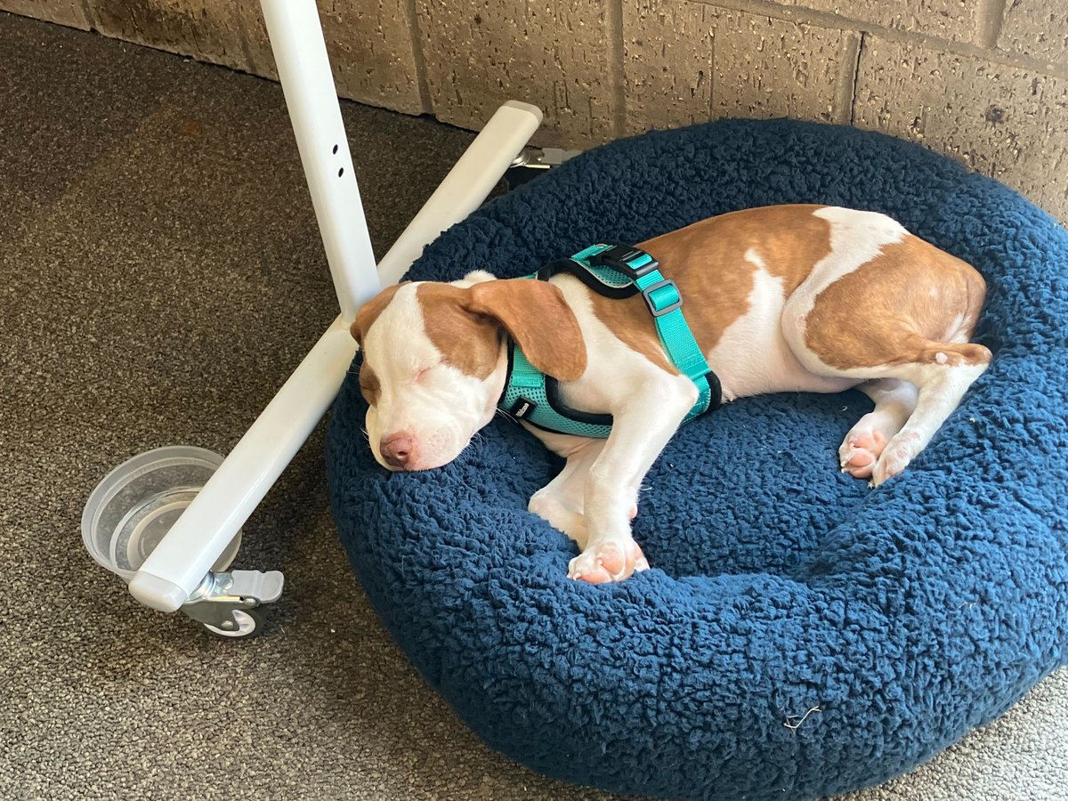 Jacob Palmer tweet media