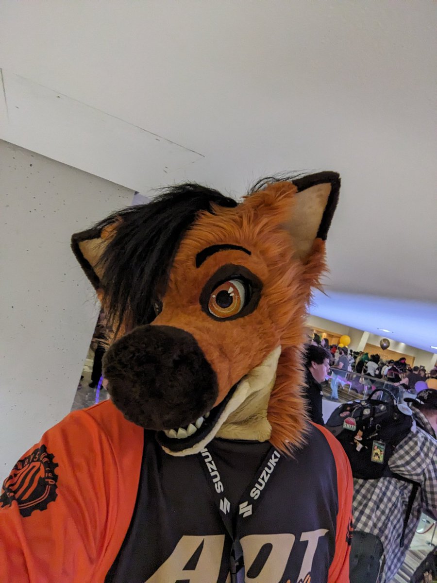 Sรฌmรฌ (@dergonsimi) on Twitter photo Wanna go ride dirt bikes together or somethin? ๐๐ #FursuitFriday Wanna go ride dirt bikes together or somethin? ๐๐ #FursuitFriday