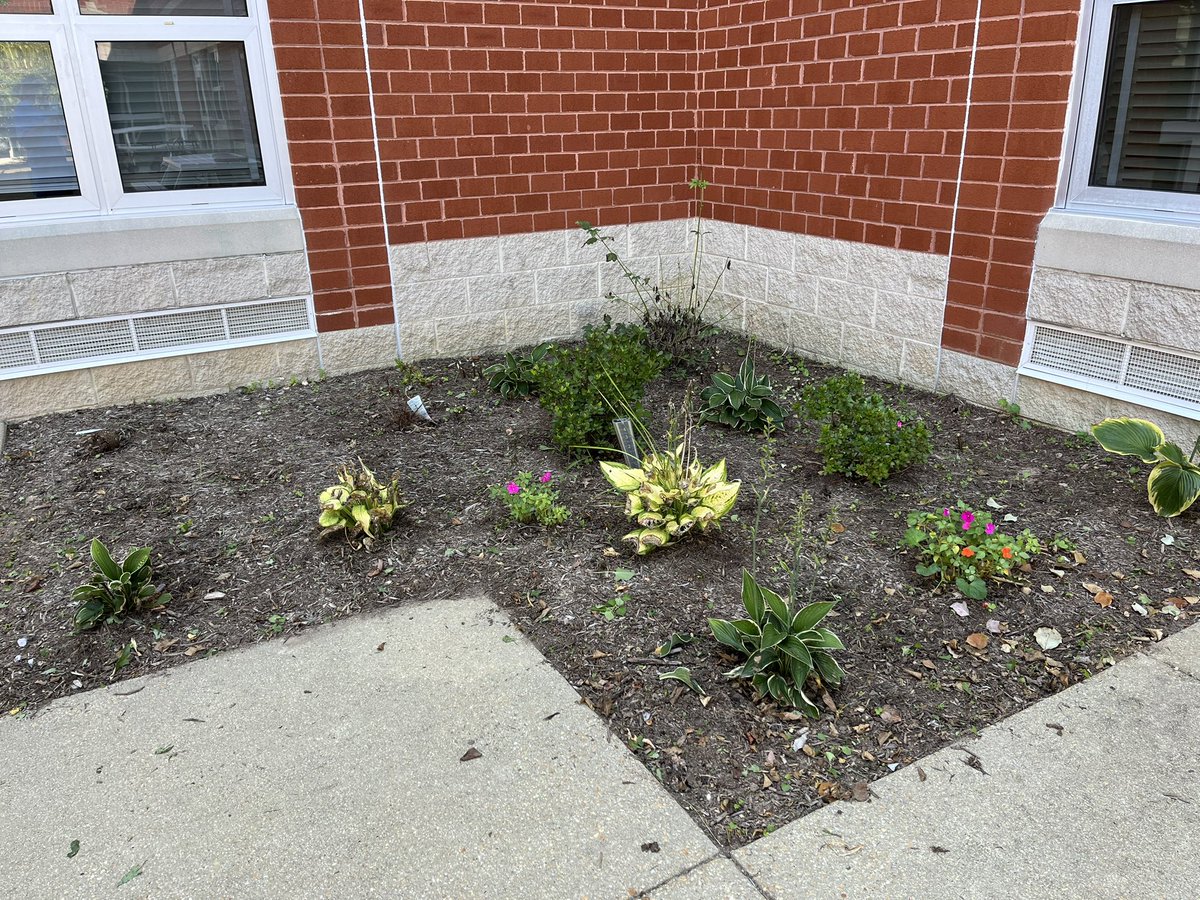 Shout out to our PAWS parents for beautifying our school grounds! You guys are amazing! #DesHuskies #newschoolyear #greenschool