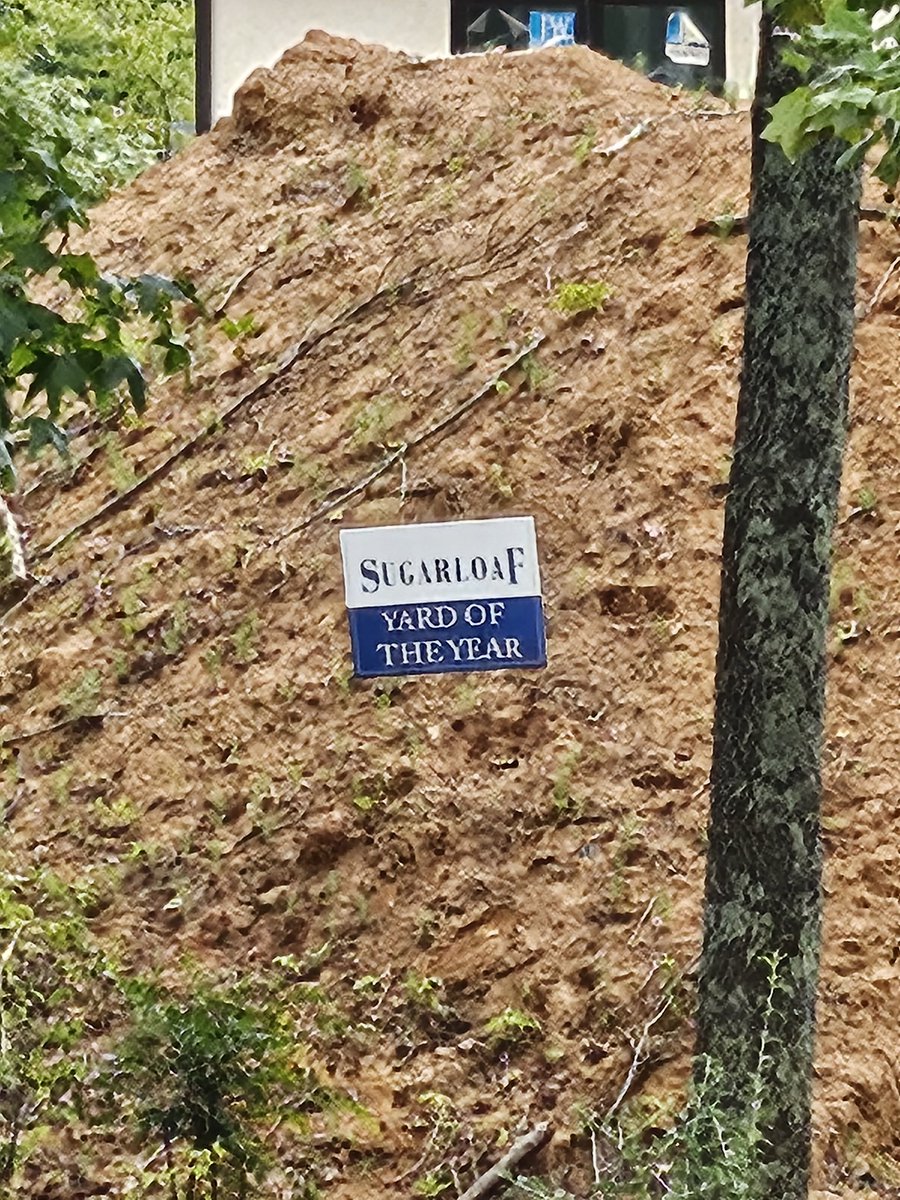 FearTheSkirt ⛳🏌🏻‍♀️🏆👠 🍷🇺🇸💎✝️ tweet media