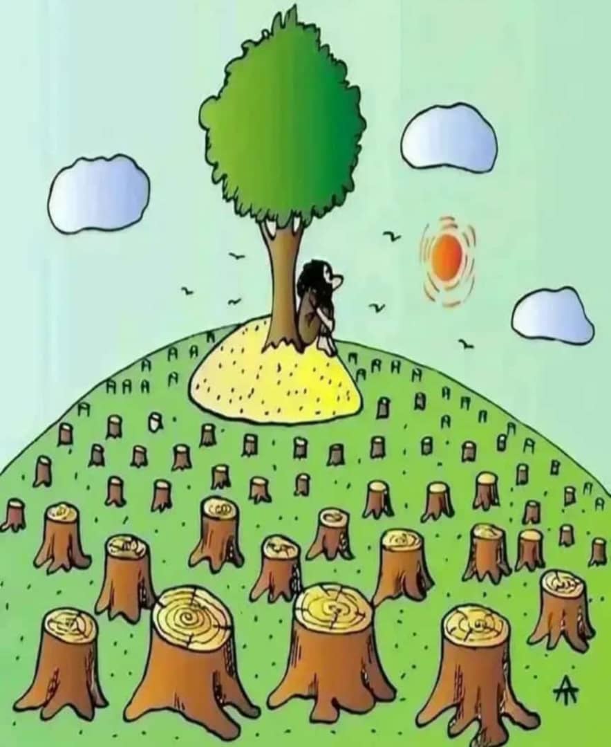 Le déboisement est un enjeu majeur qui contribue au réchauffement climatique et à la désertification.
L'homme est l'acteur principal du déboisement et la première victime des effets de la sécheresse.

Plus jamais ça...