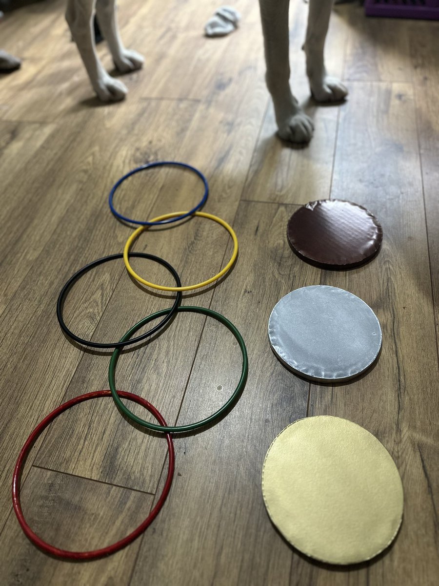 alnessparkrun's tweet photo. I’ve been working on a few  Olympic theme’d ideas for our birthday this week

What have you got planned? We would love to see some of your ideas #loveparkrun #olympic2024 #BirthdayCelebration https://t.co/ZLFUCNJN7q