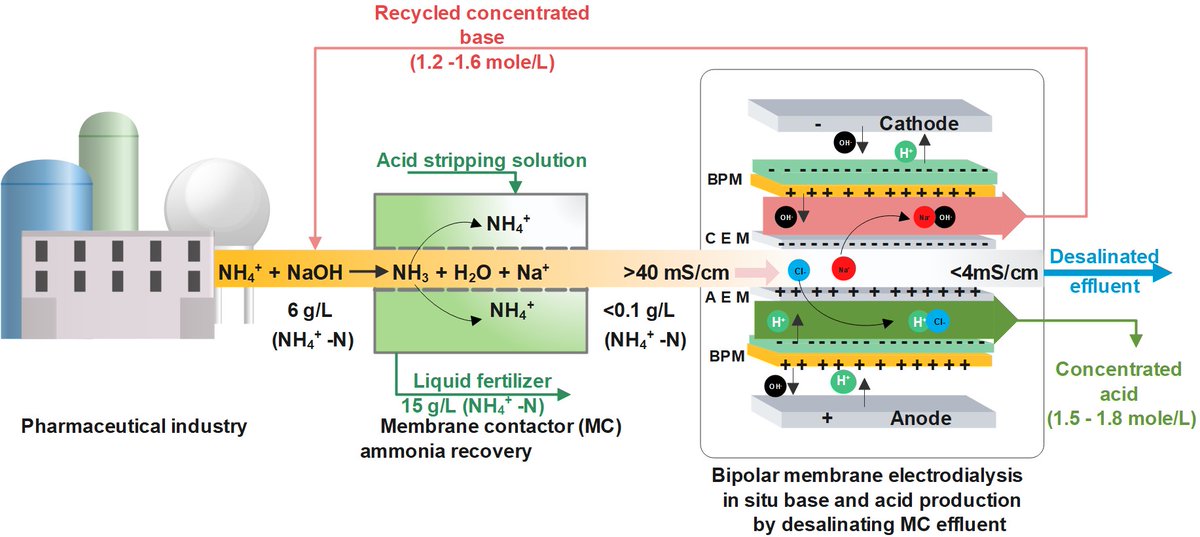 Musie W. Atsbha tweet media