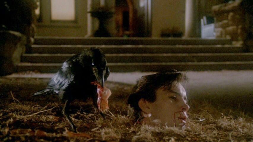 EugWSerra's tweet photo. On September 9, 1983, Frightmare - A.K.A. The Horror Star - was released! #Frightmare #TheHorrorStar #JeffreyCombs #FerdyMayne #LucaBercovici
#JenniferStarrett #NitaTalbot
#BarbaraPilavin #ScottThomson #LeonAskin https://t.co/jZibSf8K9O