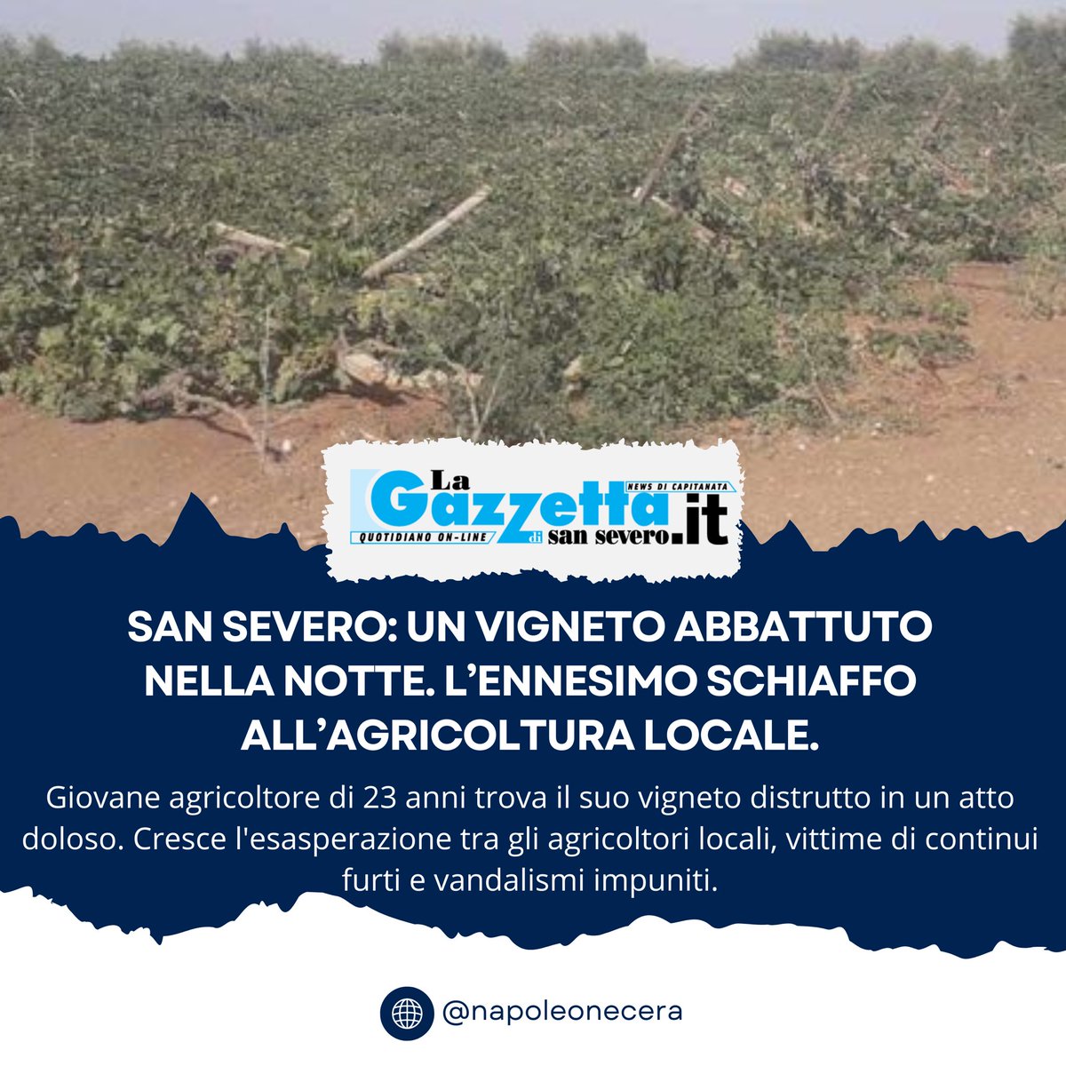 napoleonecera's tweet photo. È inaccettabile che i nostri agricoltori, come Raffaele, siano vittime di criminalità impunita. Basta promesse vuote: servono azioni concrete per proteggere chi lavora onestamente e garantire giustizia! #Puglia #agricoltura #capitanata #regionepuglia #sansevero https://t.co/K6K6A1Vcmd