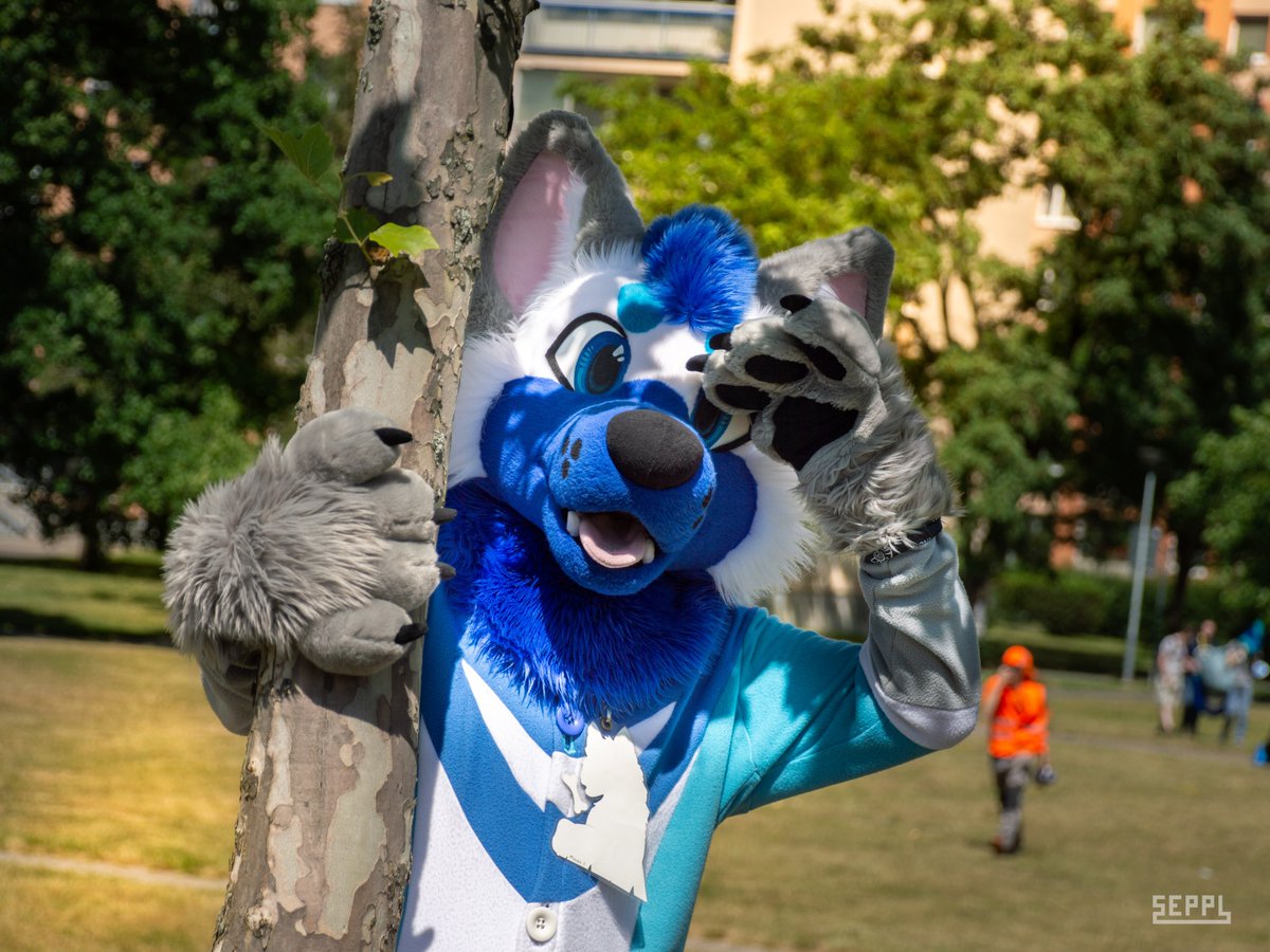 Looking at the weekend be like. Also badge flipped!
Happy #FursuitFriday 

✂️ <a href="/Fionka_Fursuits/">🐈 Fionka Fursuits 🐈</a>
📷 <a href="/GepardSeppl/">Seppl</a> 
✂️ <a href="/foxart_fursuits/">Foxart fursuits</a>