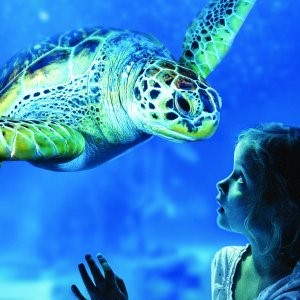 ACPRail's tweet image. Did you know that BritRail passes provide 2 for 1 access to many great attractions including SEA LIFE Manchester and Battersea Park Children’s Zoo?
Visit here for the full list of offers: britrail.com/2for1/