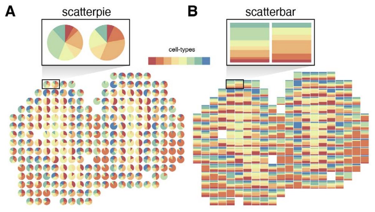 Looking to visualize proportional data across a large number of spatially resolved coordinates like deconvolved cell types in #spatialtranscriptomics? Try out our scatterbar #DataVisualization #Rstats package! 

Preprint: biorxiv.org/content/10.110…
Code: github.com/JEFworks-Lab/s…