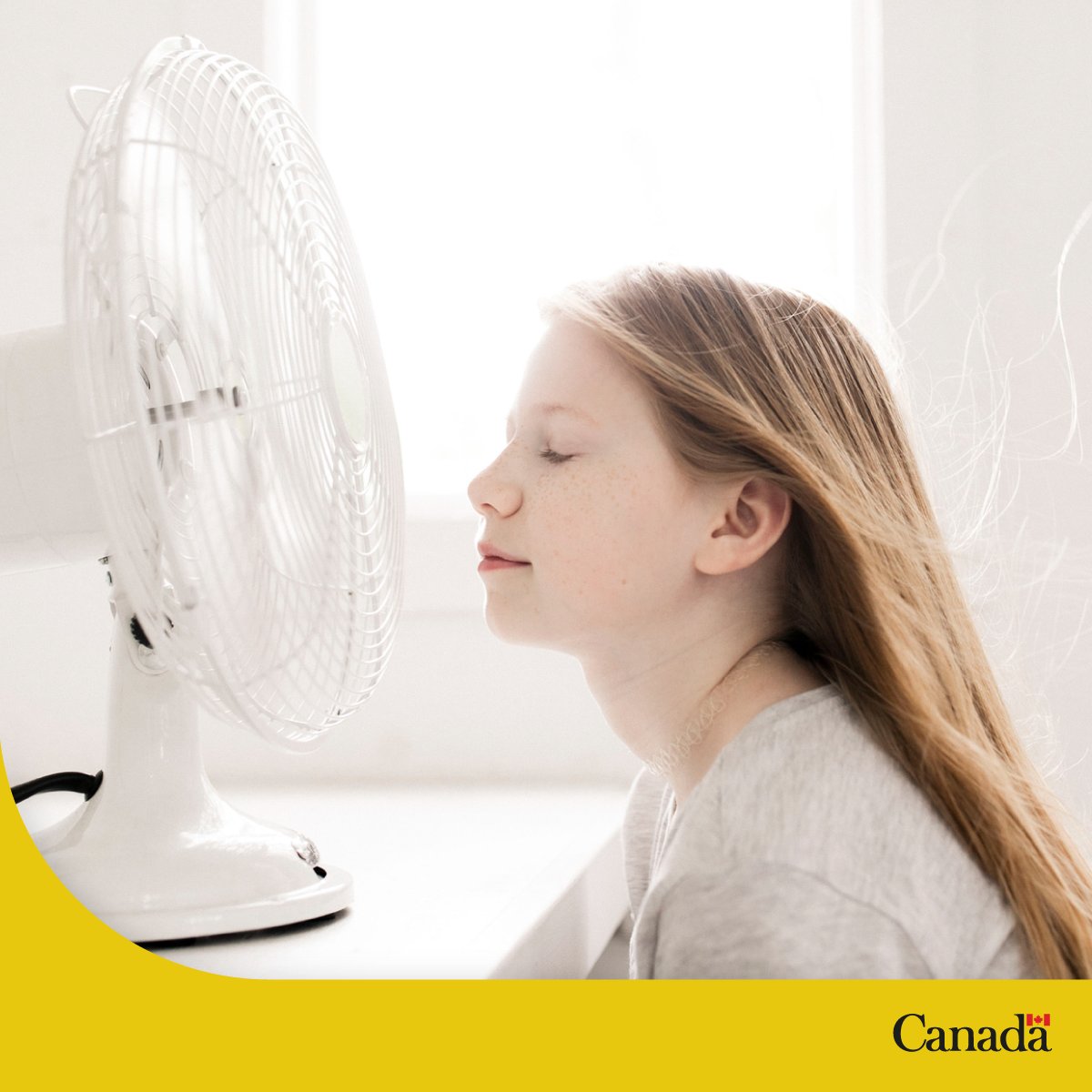 environmentca's tweet photo. Feeling the heat? ๐ฅต
How do summer temperatures in recent years compare with the norm? Find out by exploring our recently updated temperature change in Canada indicators:
https://t.co/hzNoPyfc0K
#ClimateChange #EnvironmentalIndicators https://t.co/PNjI6GPSPA