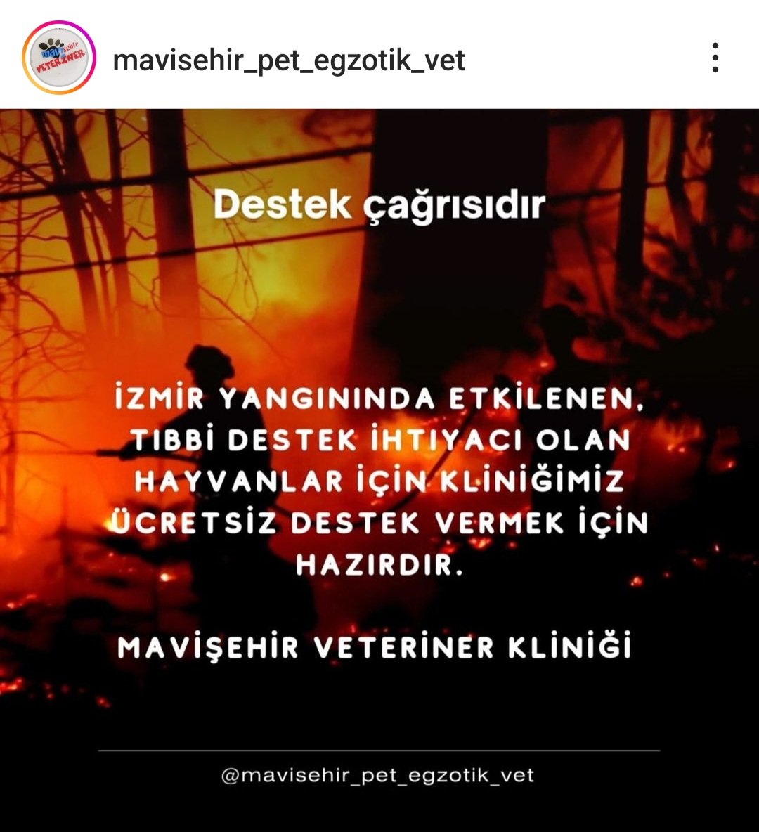 <a href="/MilenyumKahin/">Kızıl Deli Kahin</a> Yaralanan canlar için destek olan klinikler. İzmir hayvan hastanesi Çiğli de ve 24 saat açık. Mavisehir pet klinik de Karşıyaka da adliyenin çapraz sokağında. Yaralı canlarımızı lütfen  buralara götürelim.