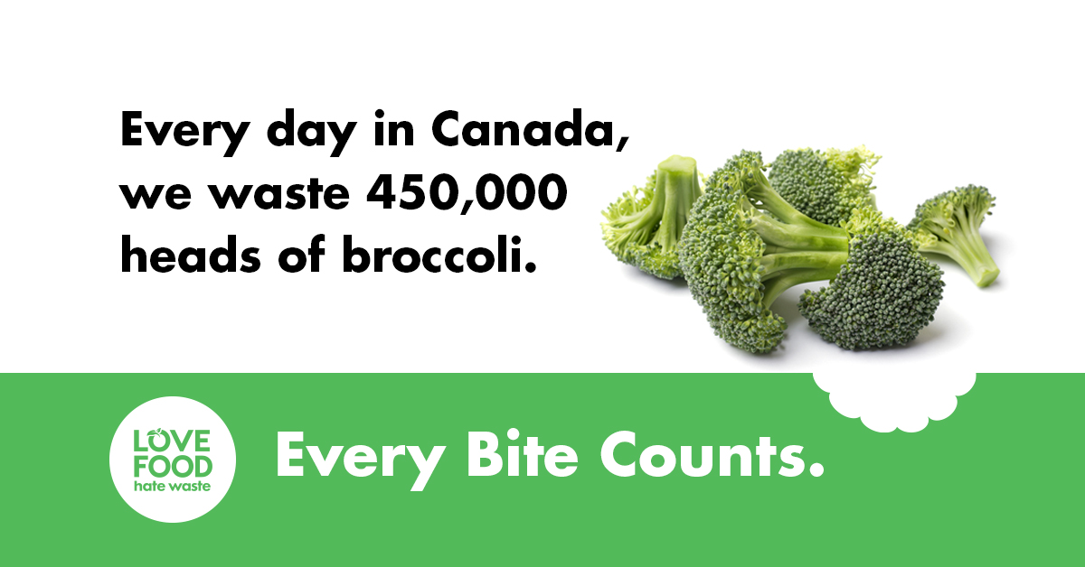 MetroVancouver's tweet photo. 450,000 heads of broccoli are wasted each day in Canada! 🥦
If your broccoli has gone slightly limp, trim the base of the stem and plunge it in an ice-water bath, drain it, and leave it to dry. Find more tips: https://t.co/fA7wjr1vJu @LFHW_ca
 #EveryBiteCounts https://t.co/MNh5vcGa5o
