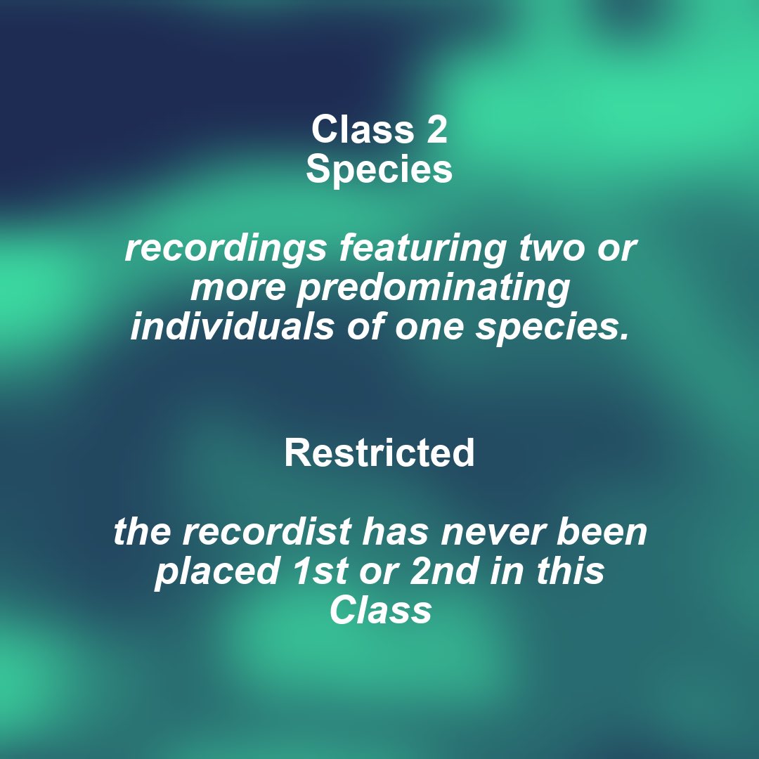 WildlifeSound's tweet image. The Restricted Runner-Up in the Species Class is Andy Martin with : Bull Elk After Dark, Winner Takes All.

Congratulations Andy! 👏👏

📸 bull-elk-sparring (CC0 Public Domain)

#wildlifesound #wildlifesoundrecording #naturesounds @NWSoundscapes