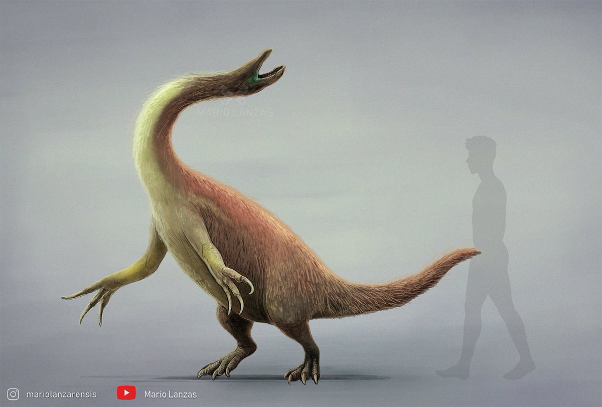 mariolanzas5's tweet photo. ALXASAURUS out of context #alxasaurus #paleoart #dinosaur #therizinosauria #justfelloutofacoconuttree https://t.co/JbAL6RSwr6