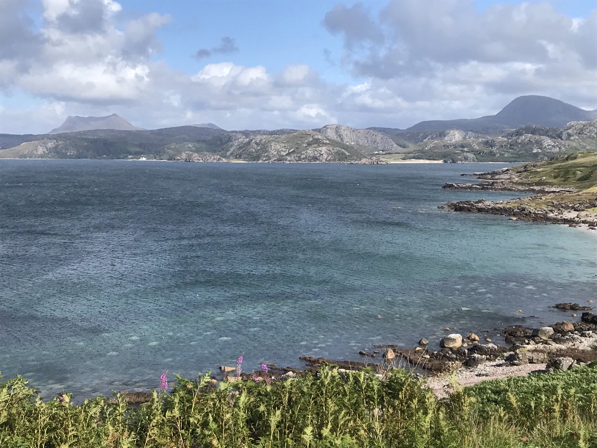 Andrew Sutherland tweet media