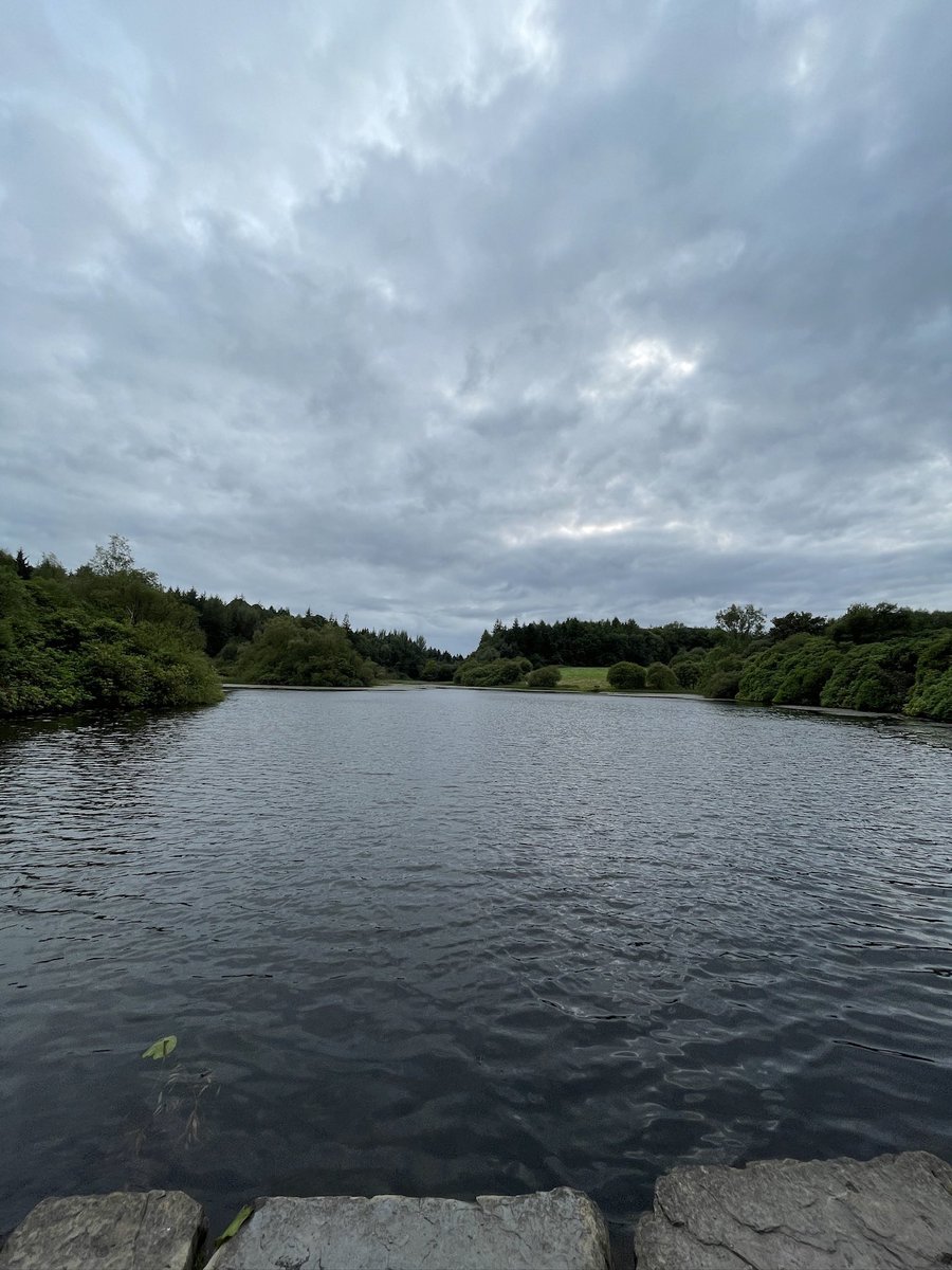MacGiollaBhainM's tweet photo. Day 229. Friday morning walk in town and back to the most visited forest park in the country for the evening walk. #300daysofwalking #100daysofwalking
#600daysofwalking https://t.co/V7c6VB9Wl2