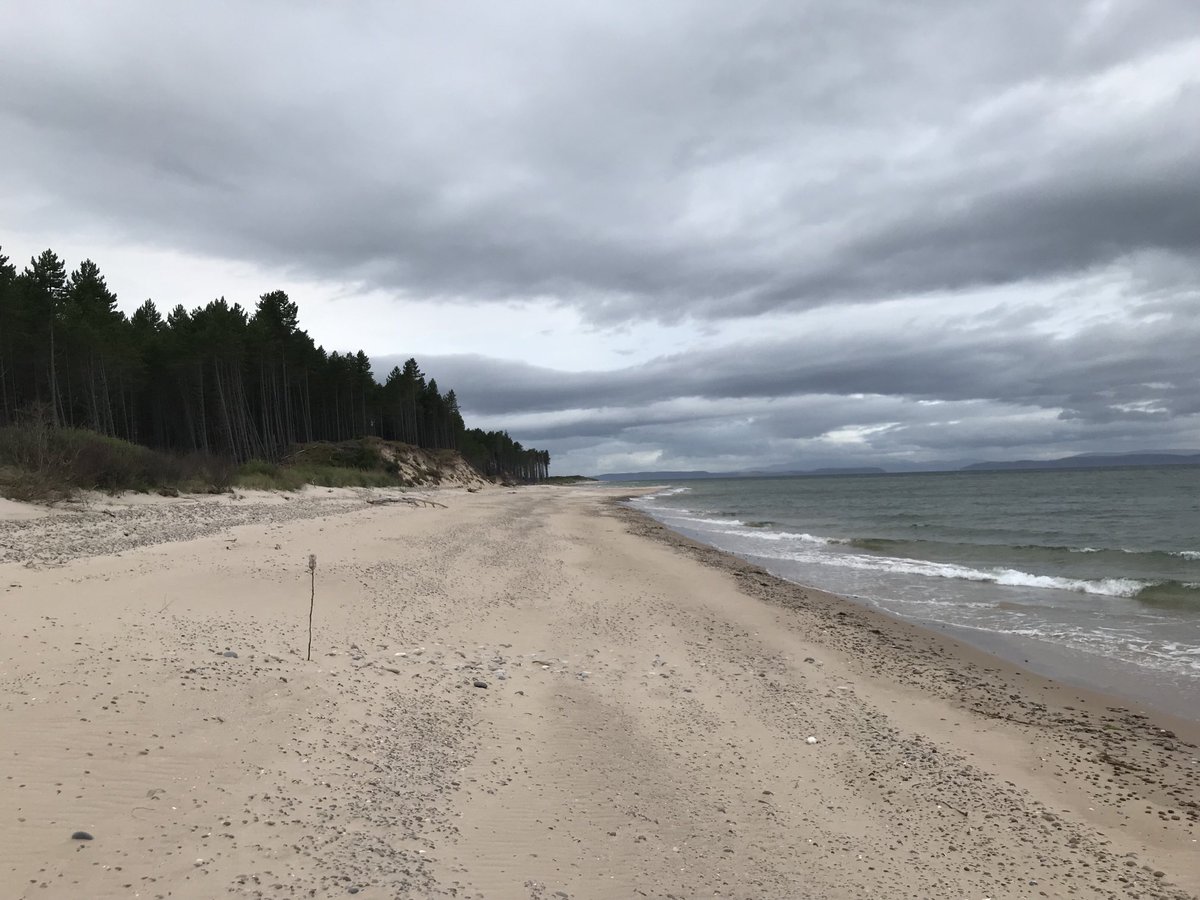 Andrew Sutherland tweet media