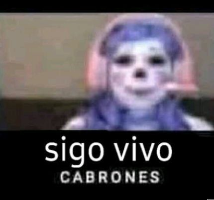 Ya volví putos, vengo de dormir 10 horas, comer bien pesado y de curarme del vomito y dolores de cabeza, al chile mi cuerpo es una fokin maquina, siempre curándome rápido a la verga