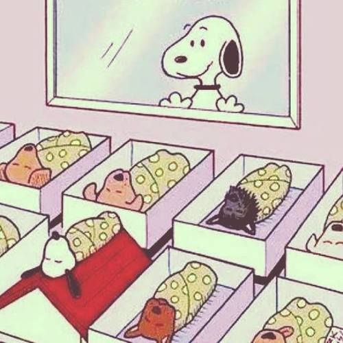 lovesickdoe's tweet image. his baby is on the roof