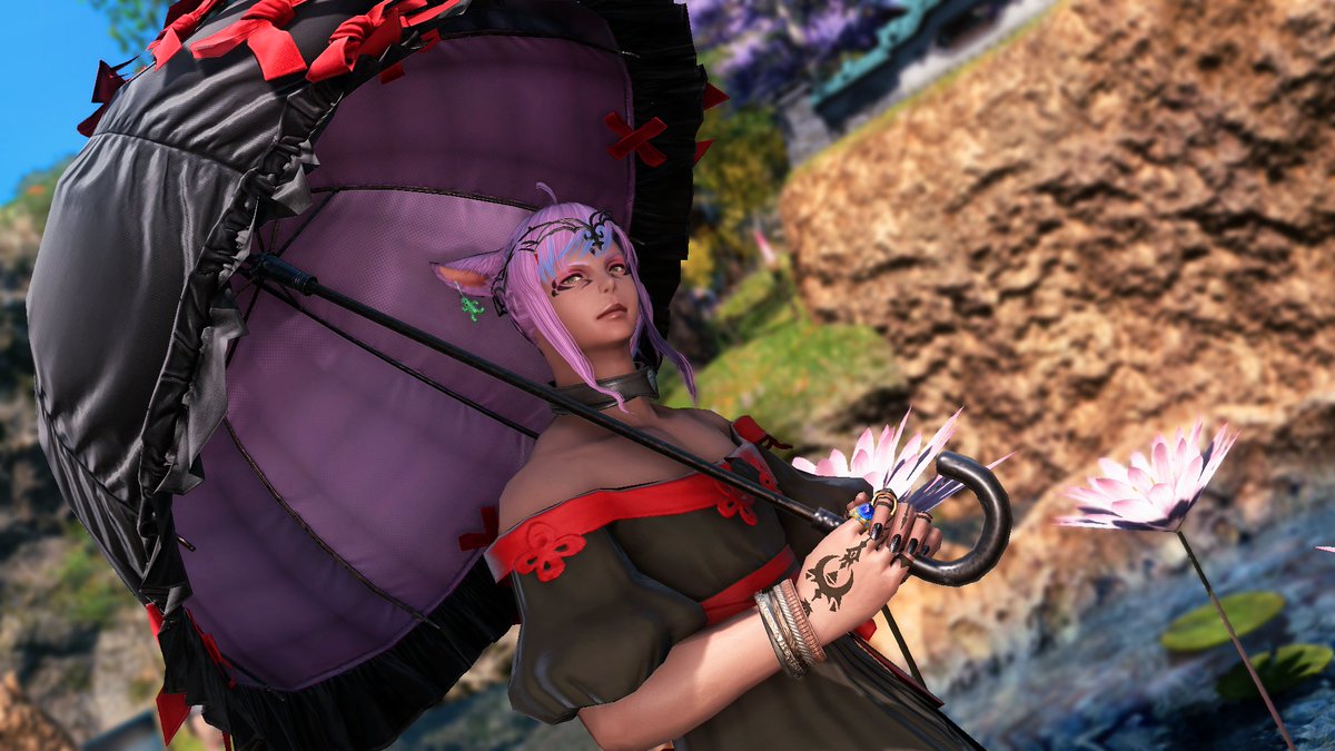 Rekki - Leaving to new horizons™ tweet media