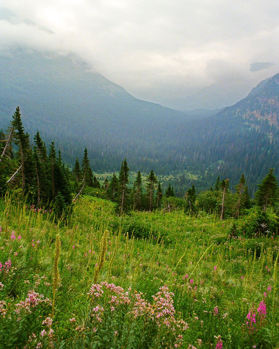 Lurkerlife's tweet photo. Life on the trail. https://t.co/gp9KxcBITX