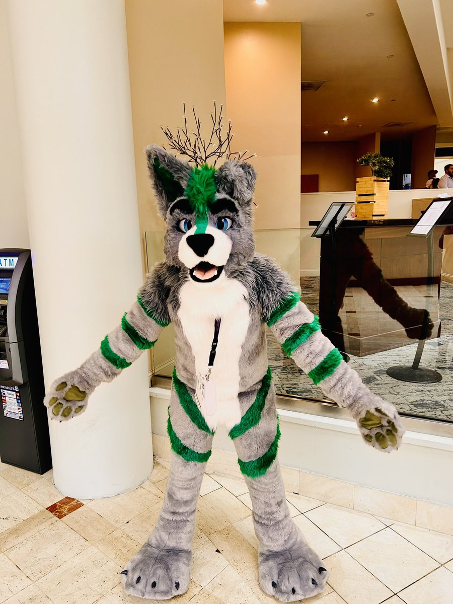 Calix🔜MIR tweet media