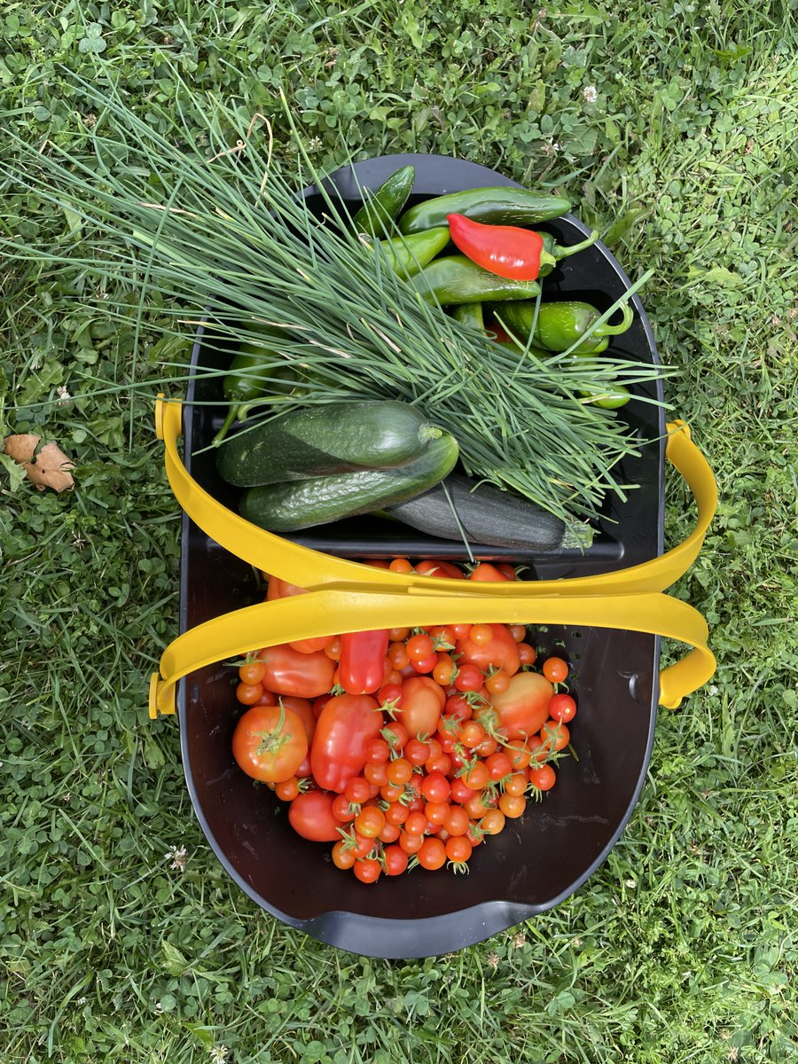 Gypsum Technologies tweet media